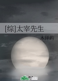 综太宰先生txt