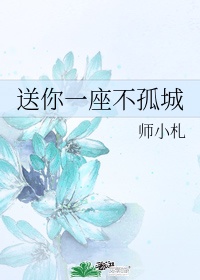 送你一座不孤城 师小札 小说