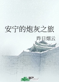 安宁的炮灰之旅epub