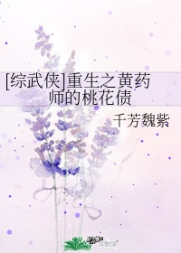 综影视黄药师的桃花债