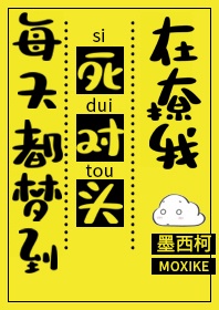 每天都梦见死对头在撩我 小说