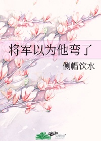 将军自以为计则可以指军师吗