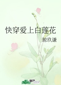 西游记后传孙悟空和白莲花