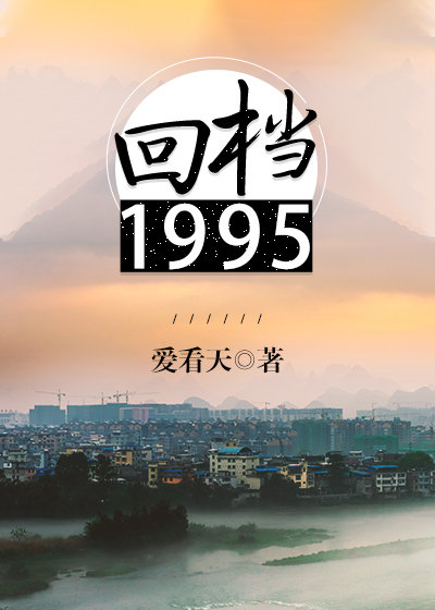 回档1995简介