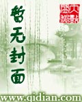 神药格列卫传奇PDF