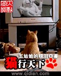 怪物猎人之猫行天下