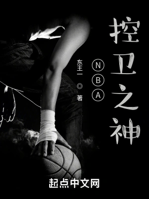 nba控卫之神小说TXT