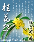 桂花酿有什么功效