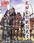 武田家实力